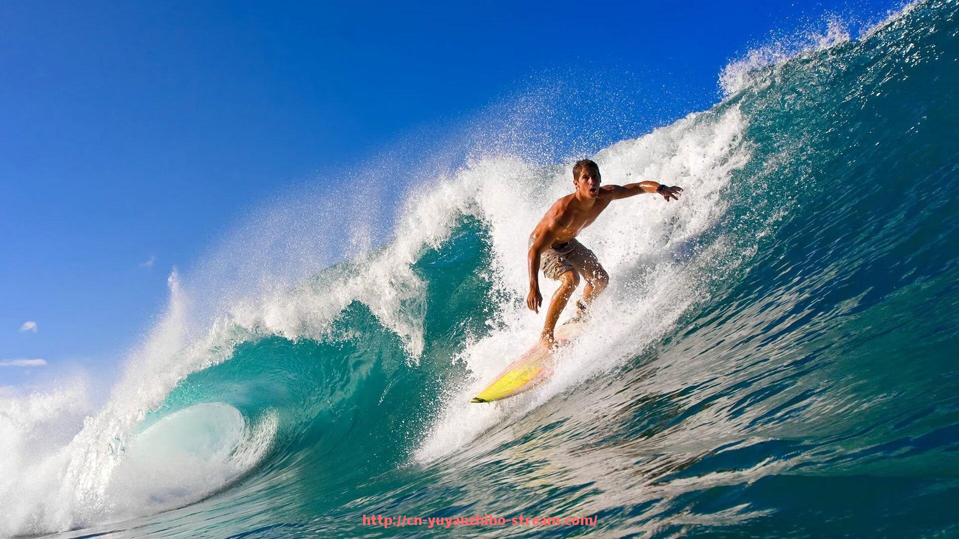 雨燕直播-女生使用更方便的健身器材推荐，兼顾安全性与实用性